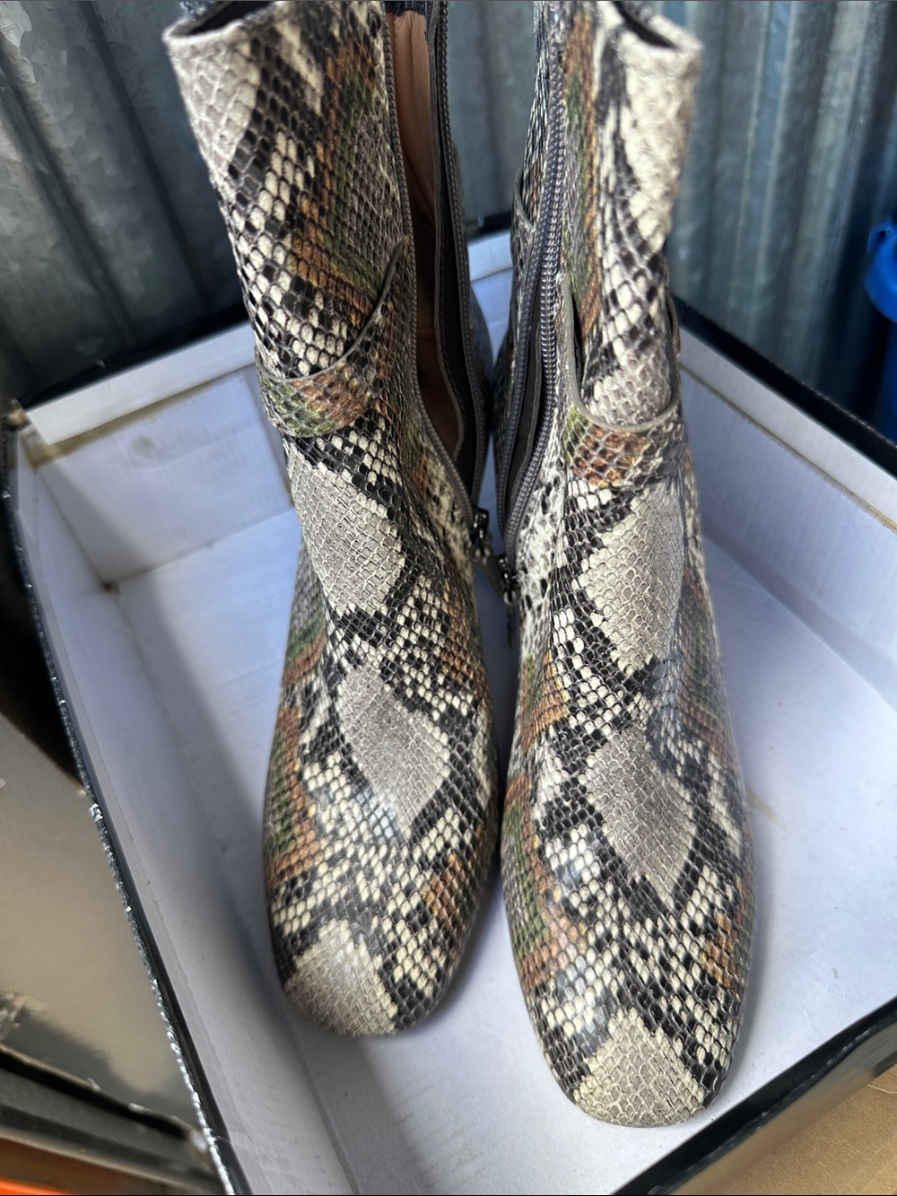 Johnston & Murphy Snake-Print Ankle Booties in Taupe, Black & Brown
